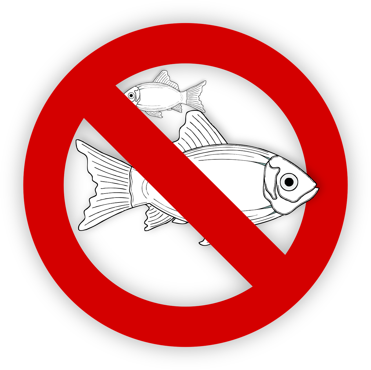pixabay-995050-685.png